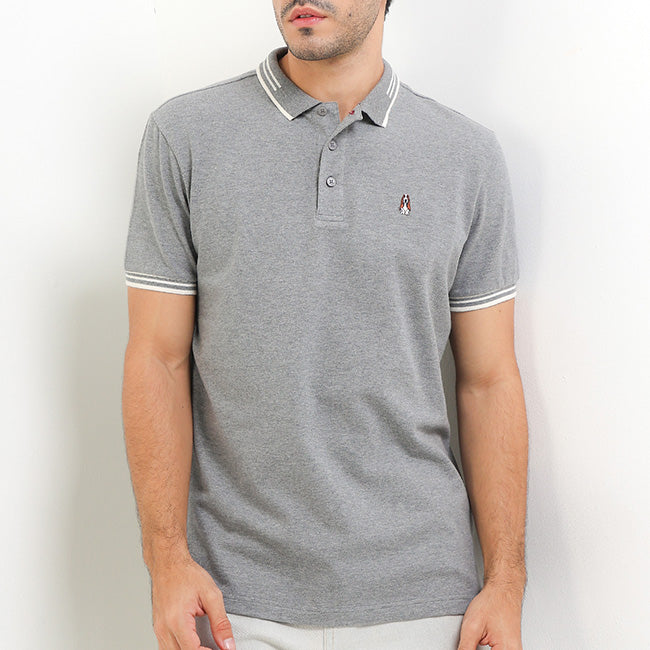 Gouda In Gray