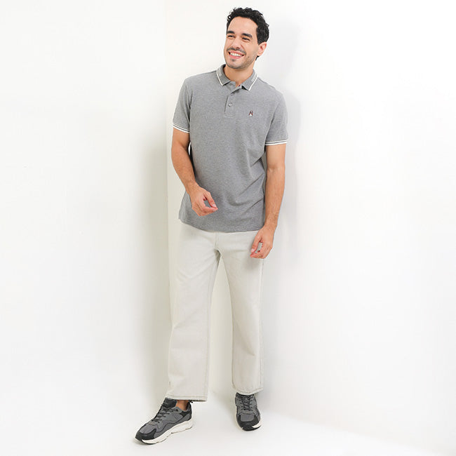 Gouda In Gray