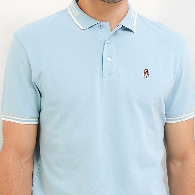 Gouda In Light Blue