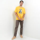 Pl Flux In Yellow