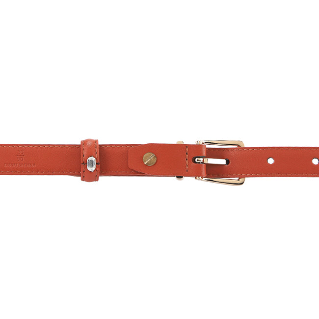 Cindy Ladies Belt In Tan