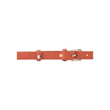 Caryn Ladies Belt In Tan