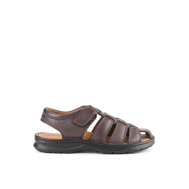 Frankie Sergio In Dark Brown