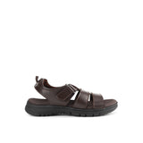 Eddy Robert In Dark Brown