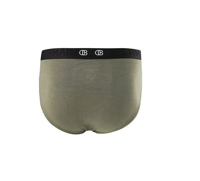 Pmtsp2 Brief In Olive