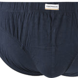 Pmtsp2 Cv Brief In Navy