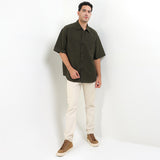 Fade In Olive