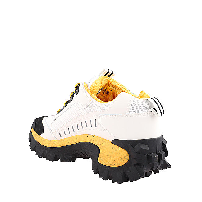 Caterpillar Sepatu Lace Up Pria Intruder In Star White