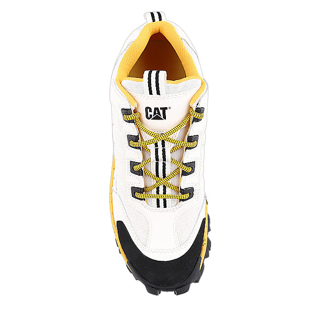 Caterpillar Sepatu Lace Up Pria Intruder In Star White