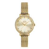 Slazenger Casual Women's Watches SLZ SL.09.6090.3.03