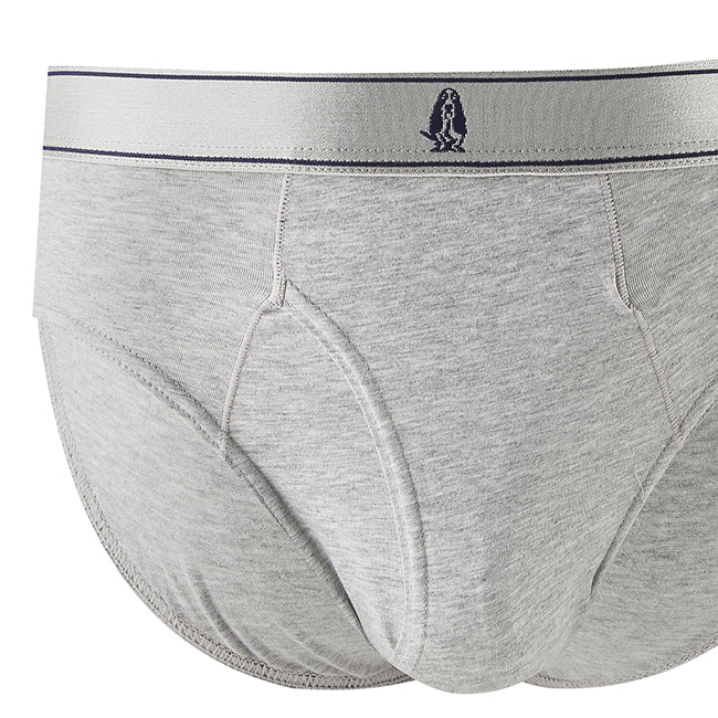 Hush Puppies Pakaian Pria Pimasp2 Brief In Black / Gray