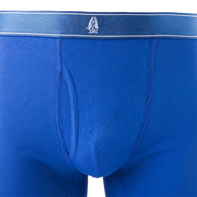 Hush Puppies Pakaian Pria Pimasp2 Boxer In Gray / Blue