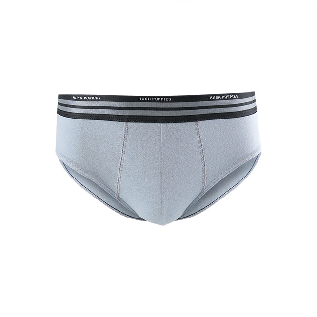 Hush Puppies Pakaian Pria Ctn2 Brief In All Light Grey