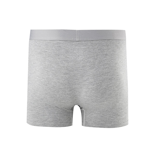 Bram Boxer In Gray / Navy