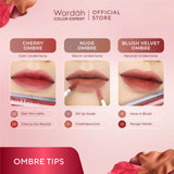 WARDAH EXCLUSIVE MATTE LIP CREAM 21 CREAMPUCCINO 4 g (NEW)