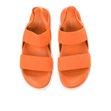 Zelda In Orange