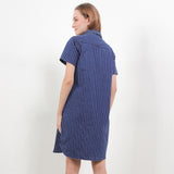 Flavina In Blue
